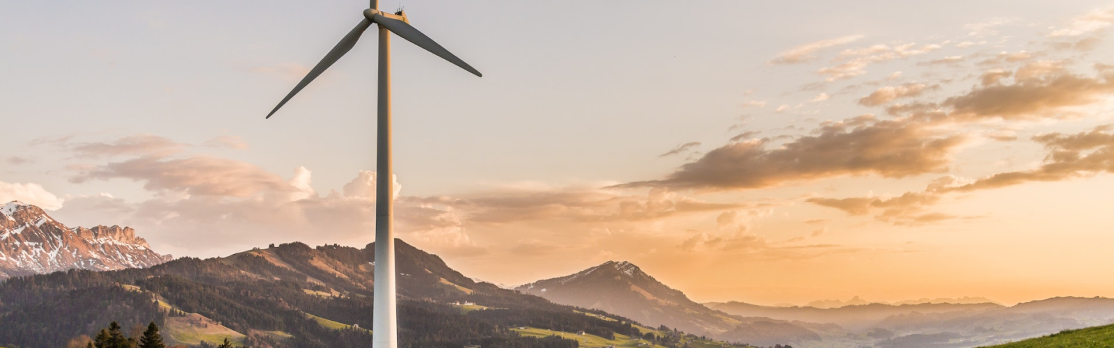 text
connected systems, digital tools, invoice generator, pdf invoice, invoice pdf, billing automation, digital invoicing, financial documents, document workflows, digital documentation, paperless billing, business efficiency, workflow automation