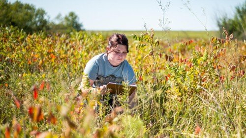 Ecology Topics Overview